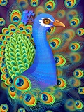peacock-small