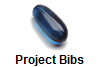 Project Bibs