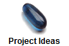 Project Ideas