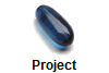 Project