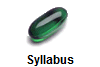 Syllabus